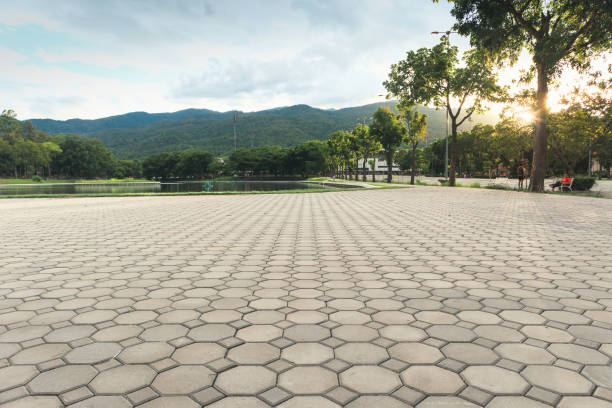 Best Driveway Repair Near Me  in Dooms, VA